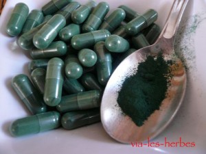 spiruline