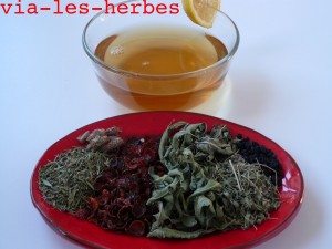 tisane-melange-3