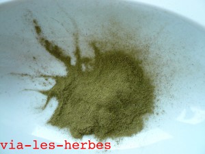 feuilles de stevia sechees moulues finement
