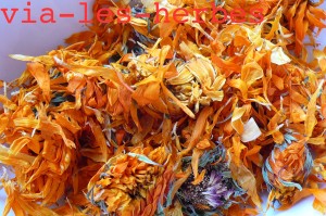 calendula