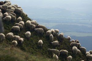 Auvergne