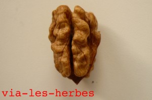 cerneaux de noix 