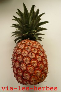 Ananas 