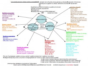 diagramme du stress