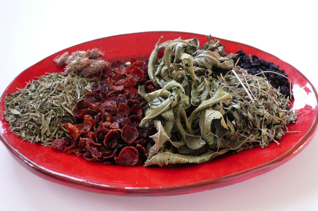 Tisanes infusion, décoction, macération mode d’emploi Vialesherbes