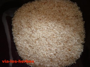 Graines d'ispaghul
