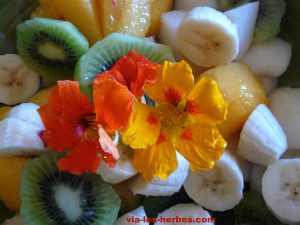 salade de fruits 2